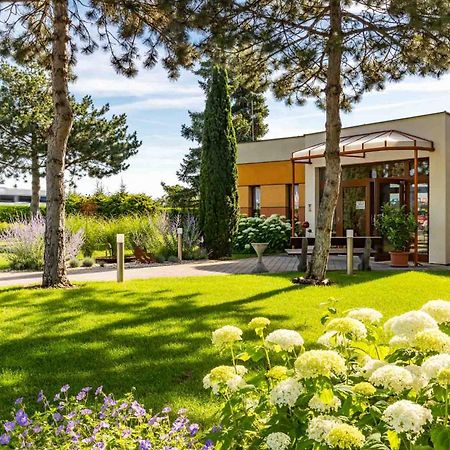 ווינר נוישטאדט Hotel Garni Steinfeld מראה חיצוני תמונה
