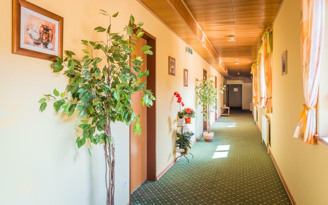 ווינר נוישטאדט Hotel Garni Steinfeld מראה חיצוני תמונה